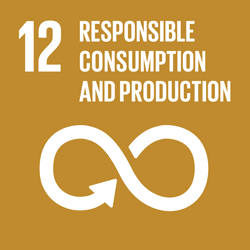 SDG 12: Responsible Consumption